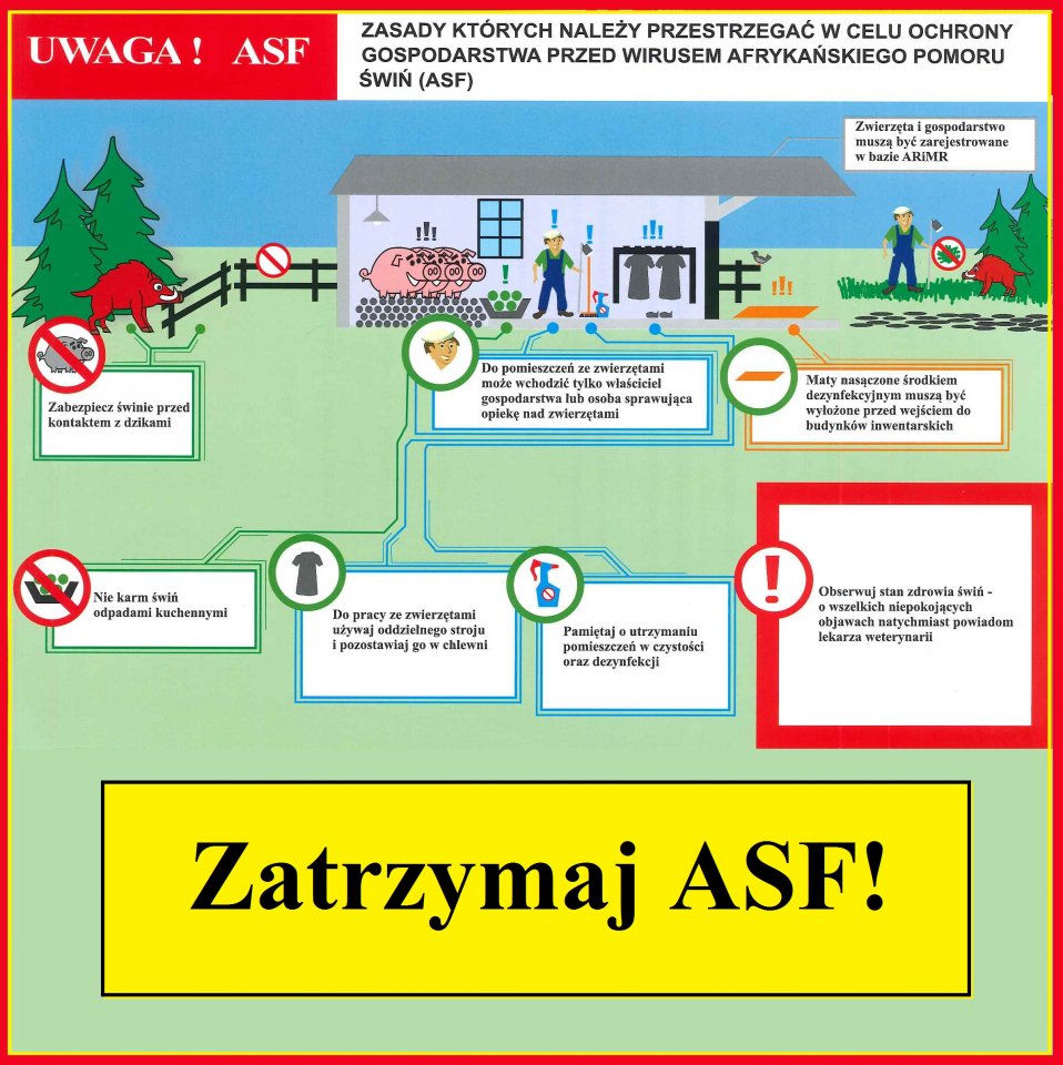 Komunikat Powiatowego Lekarza Weterynarii w Miechowie skierowany do hodowców trzody chlewnej